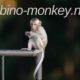 albino monkey net