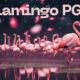 flamingo pgp