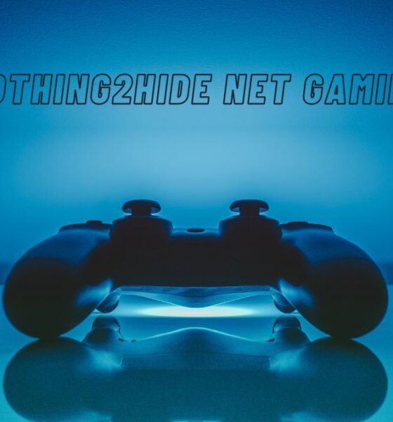 nothing2hide net gaming